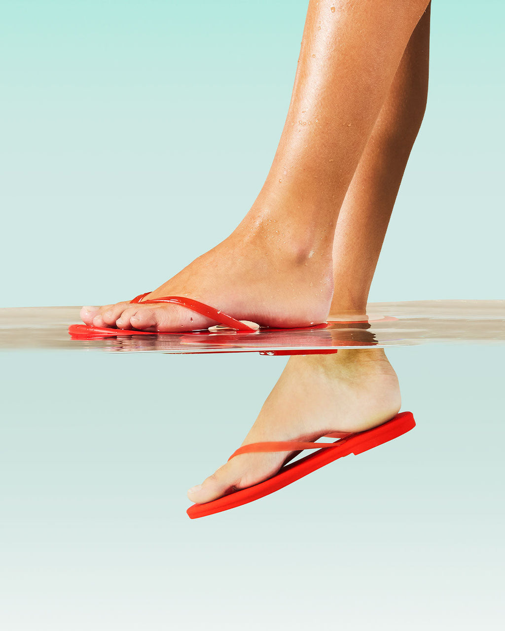 Aqua - Sol Red